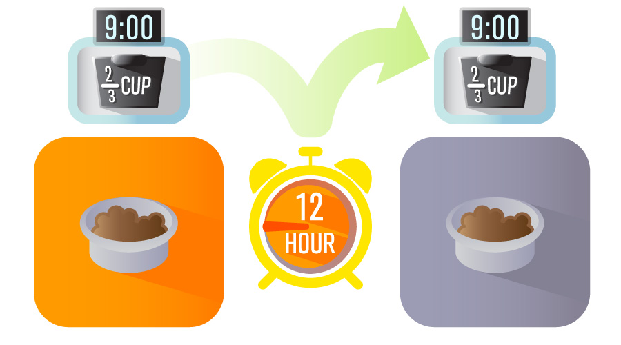 Infographics