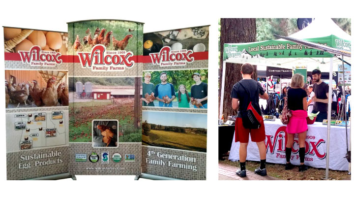 Trade Show Display